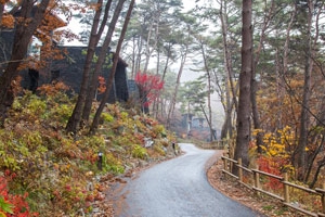 ‘리솜리조트 특별회원권 분양’  자연숲 가을힐링을...