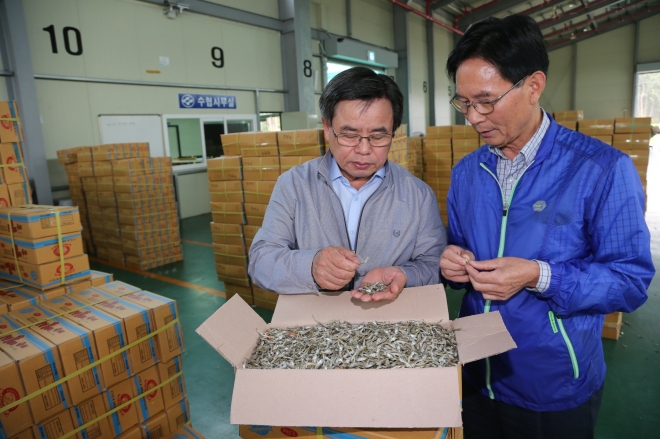 노박래 서천군수(왼쪽)가 지난 7일 서면 신합리 서천서부수협 공판장을 찾아 멸치 반출 상황을 살피고 있다. 오른쪽은 최병광 서부수협 조합장