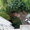 ´캣맘´ 사건 “초등생 낙하속도 놀이하다가”…미성년자로 처벌 불가능