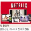동영상 스트리밍 공룡 ‘넷플릭스’… 스크린도 접수할까