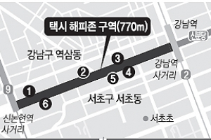 해피존, 강남역 ‘불금’ 택시 전쟁 막을까