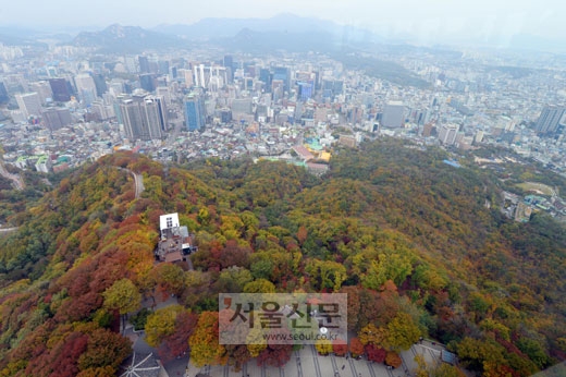 26일 서울 남산 N서울타워에서 바라본 남산이 알록달록 단풍 옷으로 갈아입고 있다. 사진=정연호 기자 tpgod@seoul.co.kr