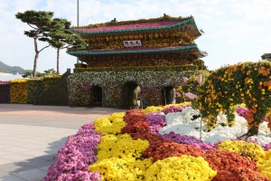 국화 2만종 1억송이가 모였다