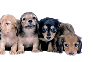 우릴 아껴주세요