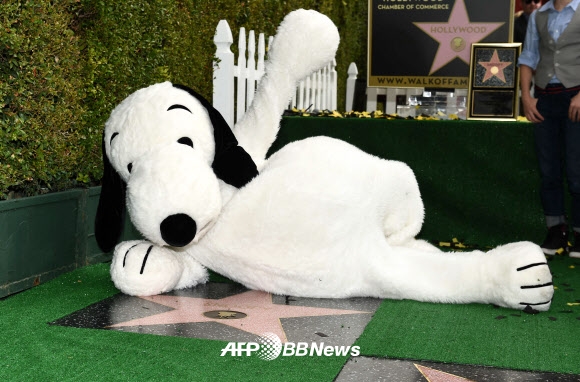스누피가 2일(현지시간) 미국 캘리포니아주 로스앤젤레스에 있는 ‘할리우드 명예의 거리’에서 자신의 이름이 새겨진 별 모양의 동판 위에서 포즈를 취하고 있다. 한편 찰리 브라운, 루시 그리고 스누피가 함께 공동 주연을 맡은 영화 ‘스누피:더 피너츠 무비’가 6일(미국 현지시간) 개봉을 앞두고 있다. ⓒ AFPBBNews=News1
