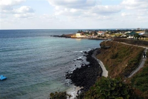 [명인·명물을 찾아서] 당신이 처음 본 ‘올레’