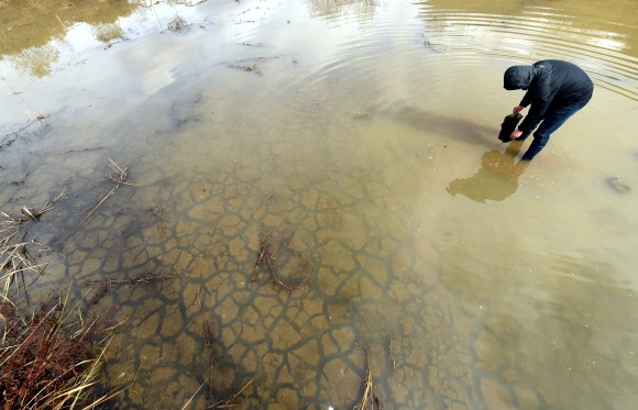 9일 극심한 가뭄으로 바닥을 드러냈던 강원 춘천시 동면의 저수지에 최근 내린 비로 물이 조금 고였다. 거북이 등 같은 저수지 밑바닥이 보인다. 춘천 연합뉴스