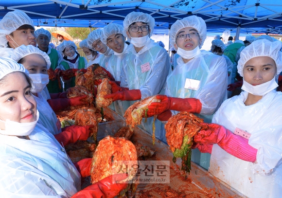 9일 성북구청에서 열린 ‘소외계층 사랑나누기 김장나눔행사’에서 새마을 부녀회원과 외국인 유학생, 다문화가정 참가자들이 김장소를 넣은 배추를 들어 보이고 있다. 이언탁 기자 utl@seoul.co.kr