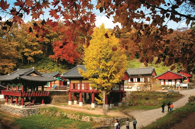 알프스마을에서 20분 안팎 떨어진 고찰 장곡사.  알프스마을 제공