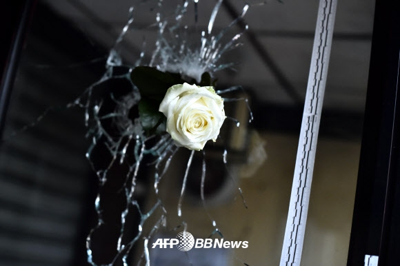 14일(현지시간) 프랑스 파리 테러 현장 인근 레스토랑의 유리창 총탄 구멍에 장미 한 송이가 꽃혀있다. ⓒ AFPBBNews=News1