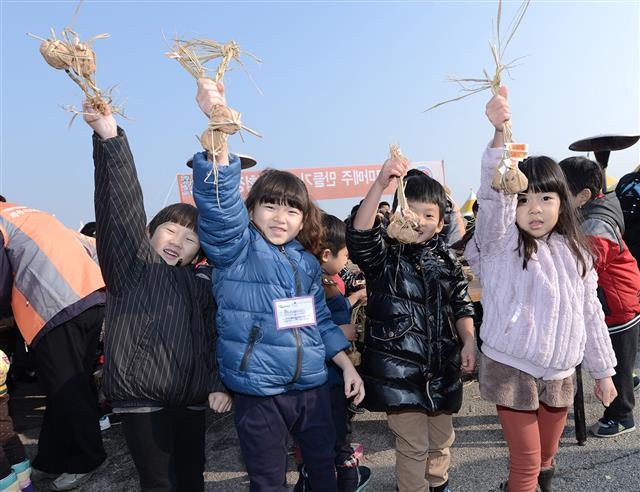 지난해 열린 파주장단콩축제의 체험 프로그램인 ‘꼬마메주 만들기 행사’에 참가한 어린이들이 직접 만든 메주를 지푸라기에 매달아 자랑하고 있다.