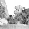 [건강레시피] 어르신 면역력 강화엔 단백질 필수… 하루 과일 2회·채소 7회 드세요