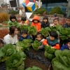용산, 꼬마농부들의 2015년 마지막 수확