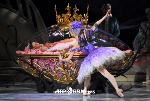 발레리나 라나 존스(가운데)가 26일 시드니 오페라 하우스에서 호주 발레 프로덕션의 잠자는 숲속의 공주 드레스 리허설 동안 공주 오로라의 파트를 춤추고 있다.<br>ⓒ AFPBBNews=News1