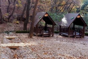 [아이 좋아~ 남다른 자치구 체험 학습장] 도심 속 숲 놀이터