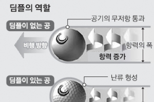 [최병규 전문기자의 골프는 과학이다] (25)골프공의 날개 딤플