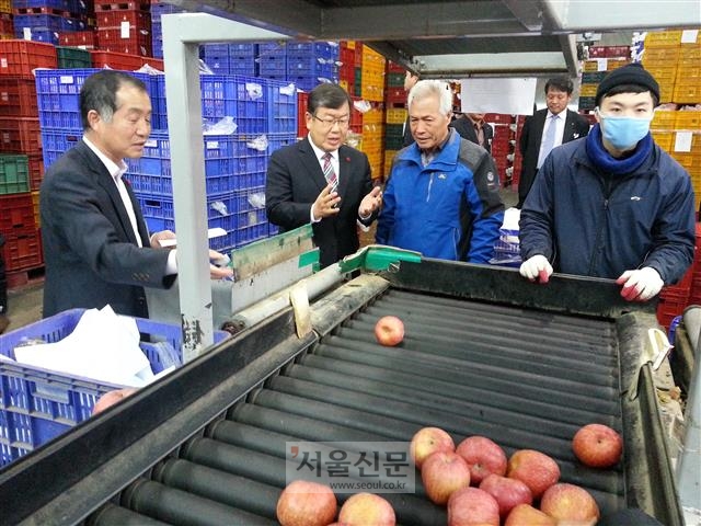 박일호(왼쪽 두 번째) 경남 밀양시장이 지난 9일 얼음골 사과 생산지인 산내면 사과선별장을 방문해 시설을 둘러보며 관계자들로부터 설명을 듣고 있다.