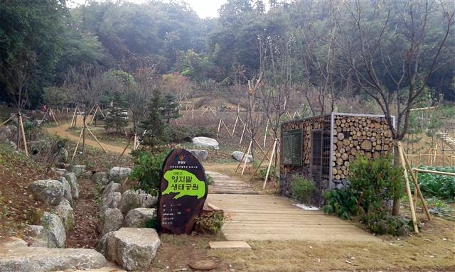 구로구 와룡산 생태복원사업 후