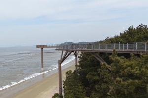 [명인·명물을 찾아서] 해질 녘 서해, 솔숲 구름 위에서 본 적 있나요?