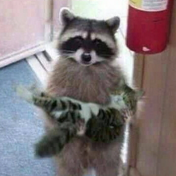 ‘마리와 나’ 서인국의 라쿤 화제.