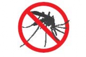 겨울부터 모기 퇴치