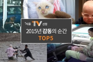 2015년 훈훈한 감동의 순간 TOP5