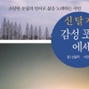 목마른 혀에 닿은 샘물처럼… 신달자 감성포토 에세이 출간