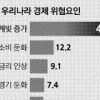 [신년 여론조사] ‘가계빚 증가’ 46.8% ‘소비 둔화’ 12% ‘美 금리 인상’ 9%