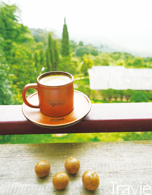 도이수텝에서 도이뿌이 마을로 가는 길목에 위치한 카페. 저렴하지만 상당한 수준의 커피 맛과 근사한 경관을 자랑한다