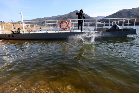 포근한 날씨가 이어져 제17회 인제 빙어축제가 취소된 가운데 5일 강원 인제군 남면 소양강댐 상류 축제 장소인 빙어호의 얼음이 녹아 있다.  인제 연합뉴스