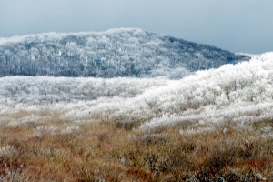 제주, 한라산국립공원 사유지 전부 사들인다