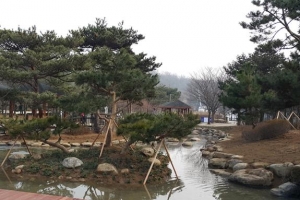 올해 강서 곳곳 녹색물 듭니다