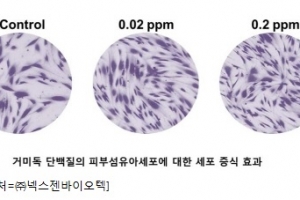 넥스젠바이오텍, 피부 개선 탄력 신소재 ‘거미독 단백질’ 개발 및 대량 생산 성공