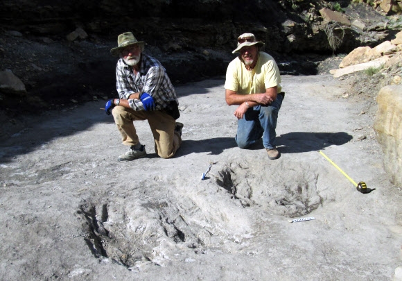 세계 최초로 ’육식공룡 구애행위’ 보여주는 화석 발견