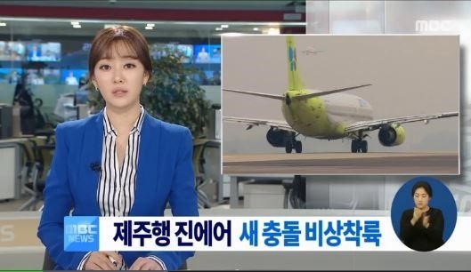 제주행 진에어. MBC 뉴스캡처