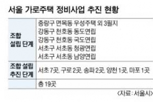 전면 철거 시대 가고 ‘미니 재건축’ 뜬다