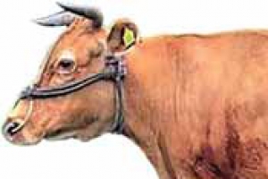 마장동 축산시장 개선 민관 함께 지혜 모은다