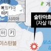 터키 이스탄불 IS 추정 자폭 테러