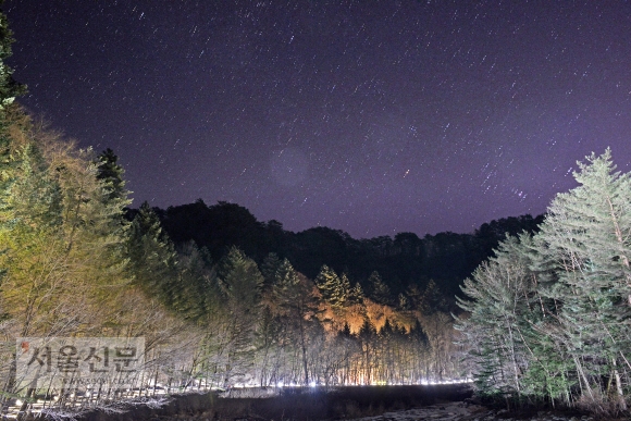 별빛이 쏟아지는 월정사 전나무 숲길. 은은한 경관조명 덕에 깊은 밤에도 조용히 사색하며 걸을 수 있다.