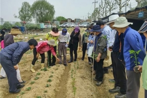친환경농법 고집 ‘솔이텃밭’ 도시농부 230명 찾습니다