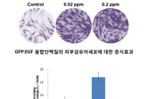 ㈜넥스젠바이오텍, 새로운 이종 생물간 융합단백질 개발 성공…국제 화장품 원료집에 등재