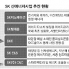SK 차세대 성장동력 신에너지 사업 ‘올인’