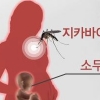 ‘소두증’ 지카바이러스 확산 일로… “성행위로도 전파된다?