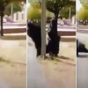 ‘너무 가렸나?’ 부르카 입은 이슬람 여성 길 가다 기둥에 ‘쾅’