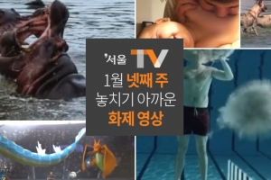 1월 넷째 주 놓치기 아까운 화제 영상