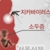 WHO 미주본부 “지카 바이러스 확산 저지에 850만달러 필요하다”