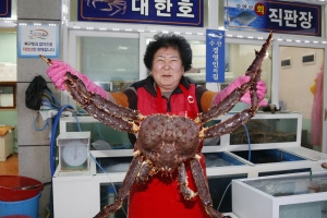 울산서 길이 1.2ｍ짜리 왕게 잡혀