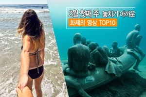 2월 첫째 주 놓치기 아까운 화제 영상