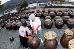 강진 으뜸 장 만드느라 분주한 손길