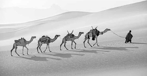한 사람의 몰이꾼이 모는 낙타 대상. 외딴 사막에서 인간과 동물의 동반자 관계가 얼마나 잘 정립되는지를 보여준다. 반니 제공